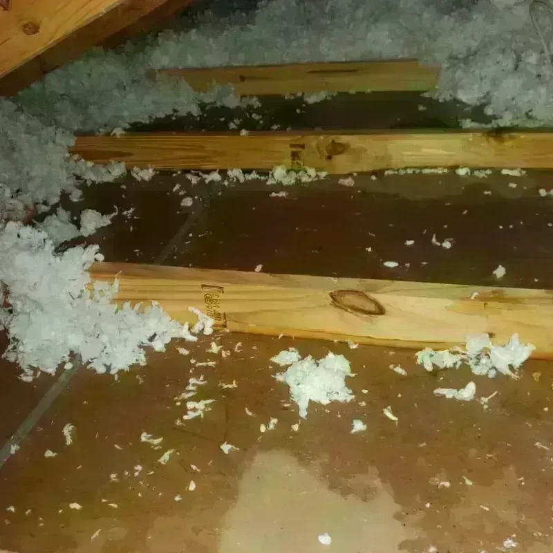 Attic Water Damage in Brice Prairie, WI